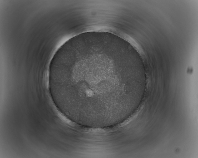 X0000101431079200808041146