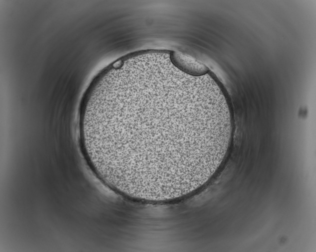 X0000101431080200808041146