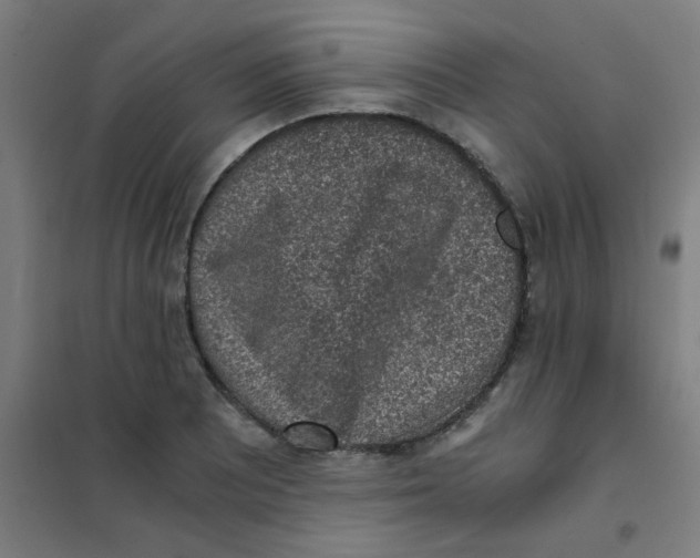 X0000101431081200808041146