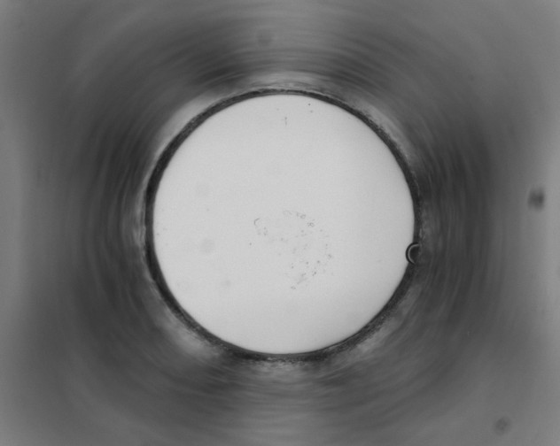 X0000101431082200808041146