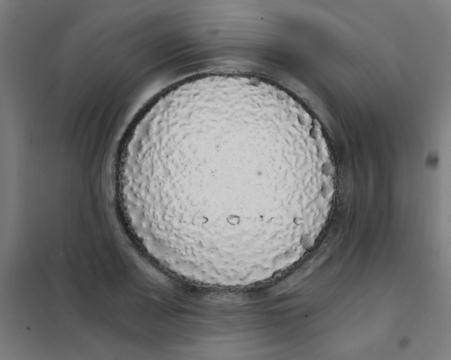 X0000101431083200808041146