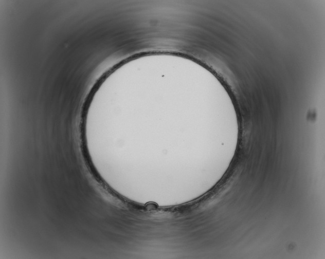 X0000101431085200808041146