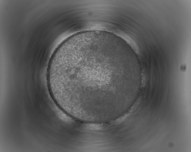 X0000101431086200808041146