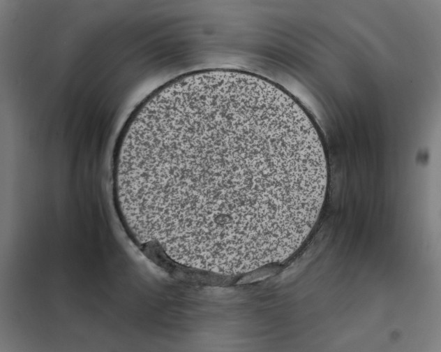 X0000101431088200808041146