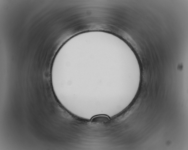 X0000101431089200808041146