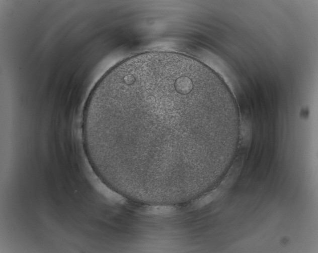 X0000101431090200808041146