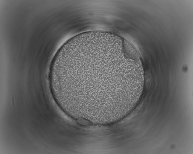 X0000101431091200808041146