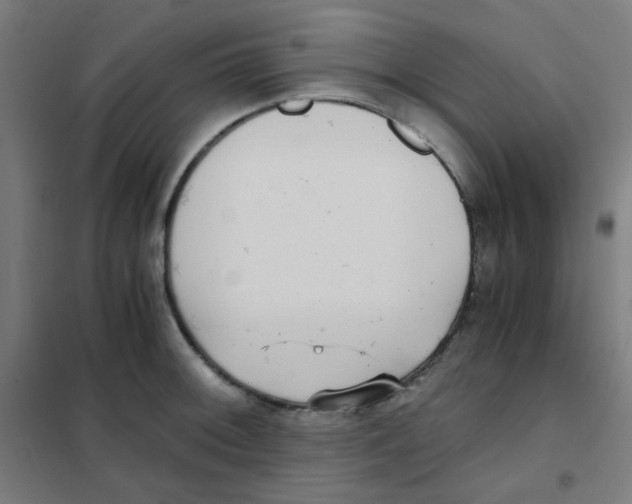 X0000101431092200808041146