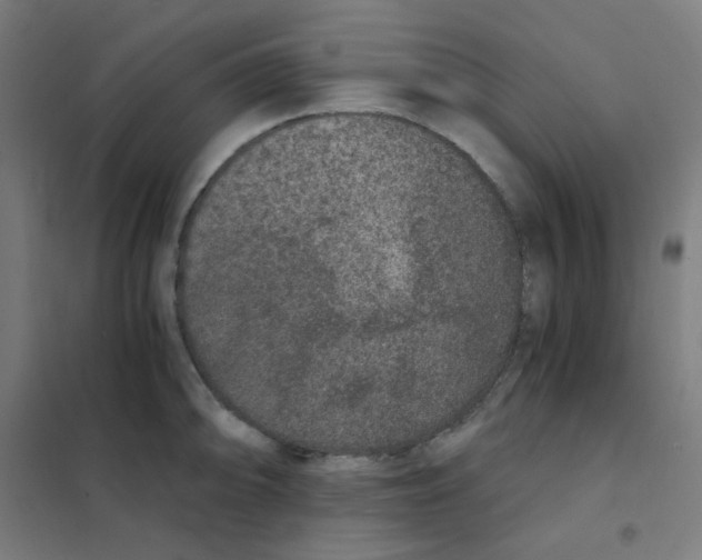 X0000101431094200808041146