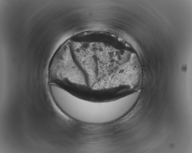 X0000101431095200808041146