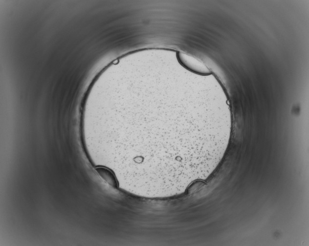 X0000101431096200808041146