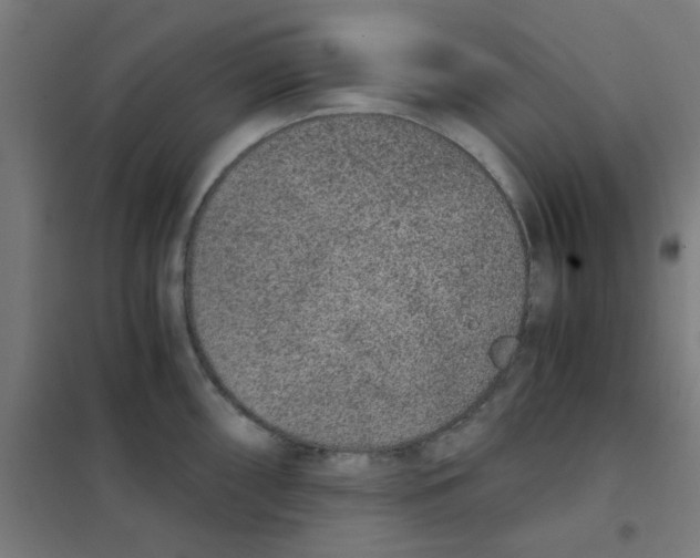 X0000101431098200808041146