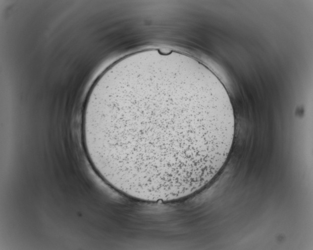 X0000101431100200808041146