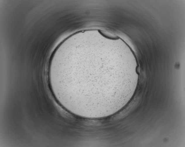 X0000101431101200808041146