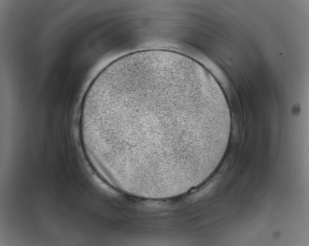 X0000101431102200808041146