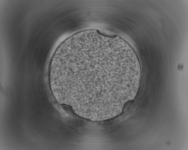 X0000101431104200808041146