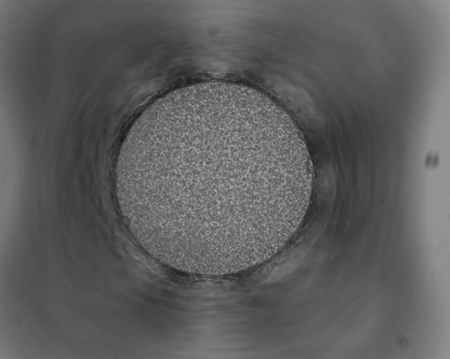 X0000101431105200808041145