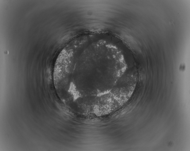 X0000101431106200808041145