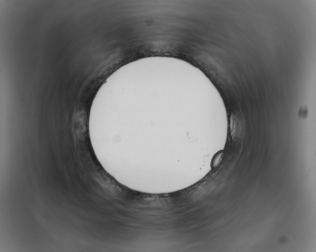 X0000101431107200808041145