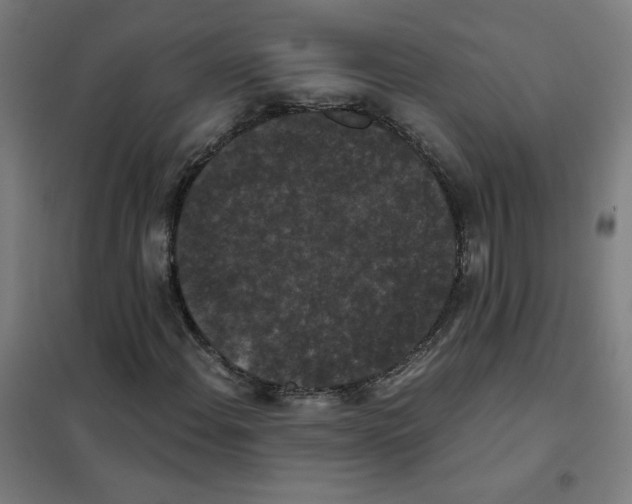 X0000101431108200808041145