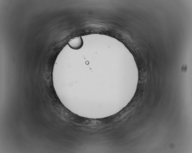 X0000101431109200808041145