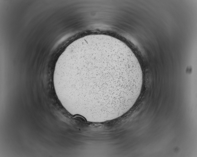 X0000101431112200808041145