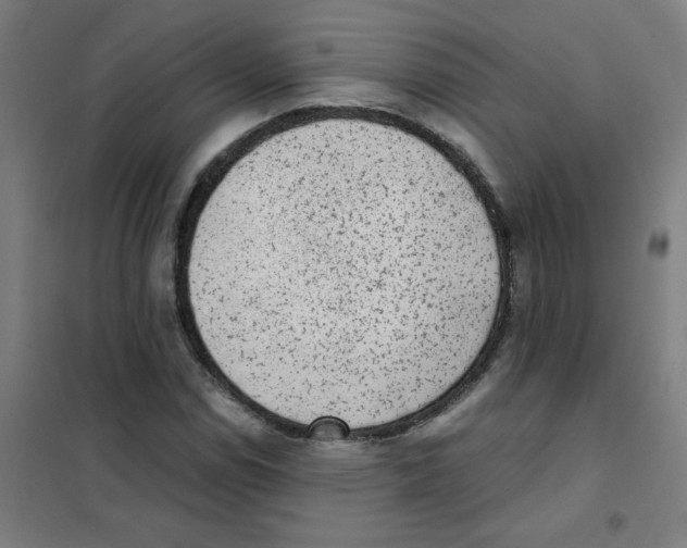 X0000101431114200808041145