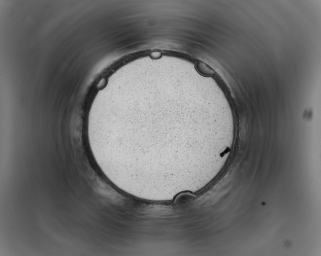 X0000101431115200808041145