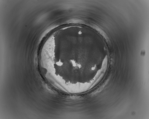 X0000101431117200808041145