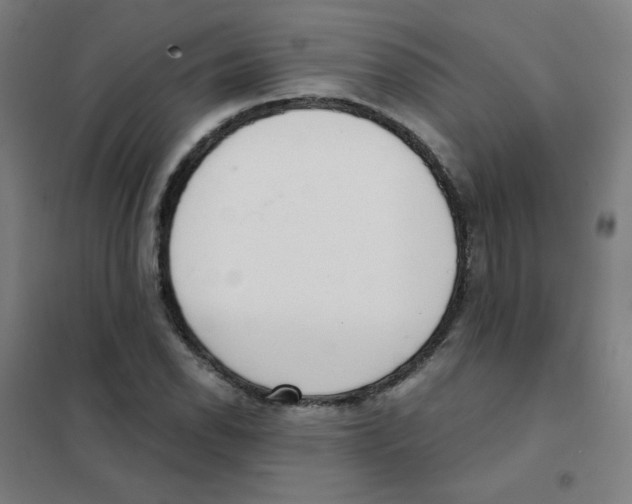 X0000101431118200808041145