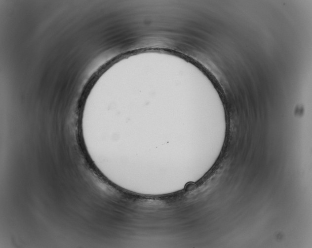 X0000101431119200808041145