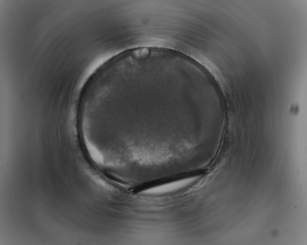 X0000101431120200808041145