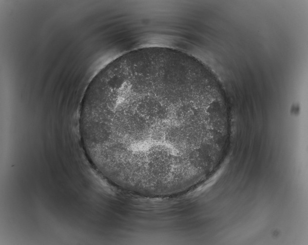 X0000101431121200808041145