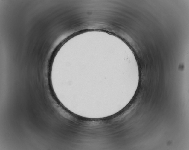 X0000101431122200808041145