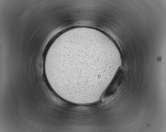 X0000101431123200808041145