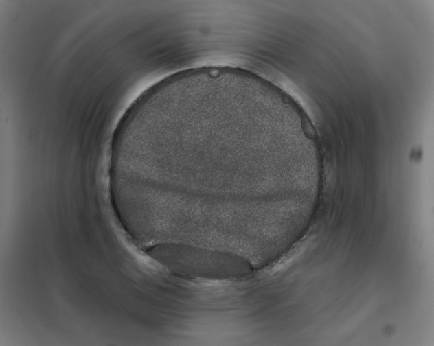 X0000101431124200808041145