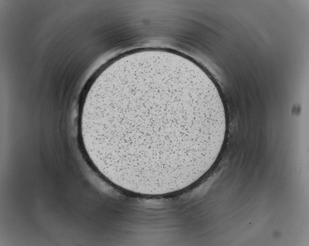 X0000101431126200808041145