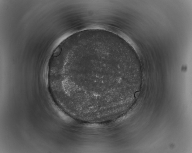 X0000101431127200808041145