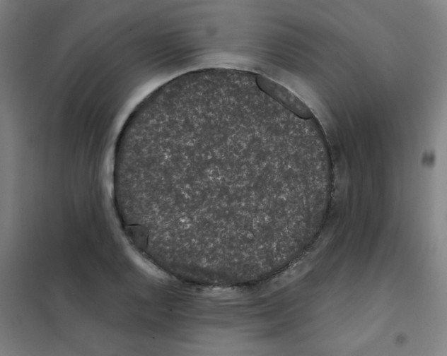 X0000101431128200808041145