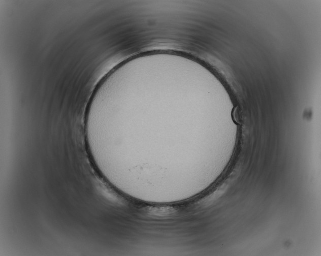 X0000101431129200808041145