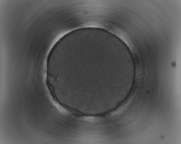 X0000101431132200808041145