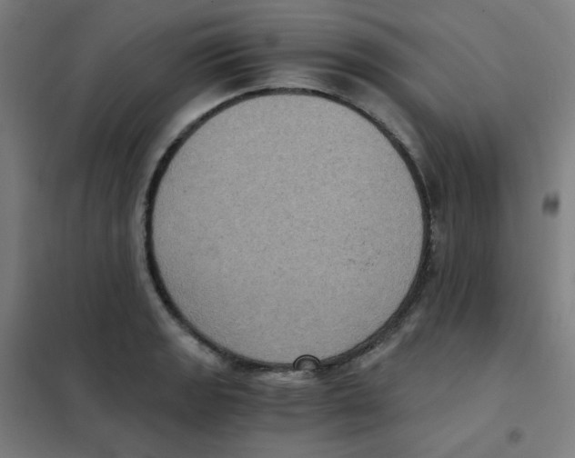 X0000101431133200808041145