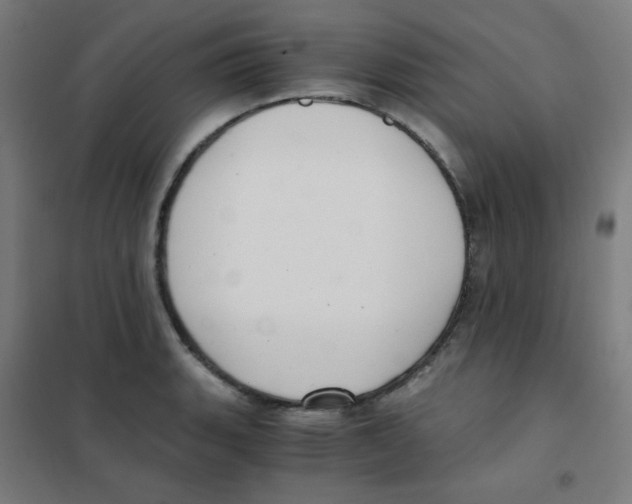 X0000101431135200808041145