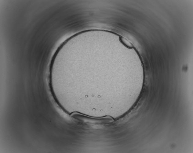 X0000101431136200808041145