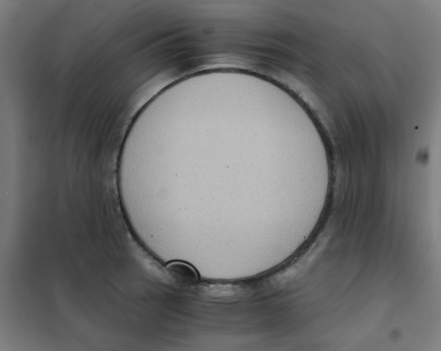 X0000101431137200808041145