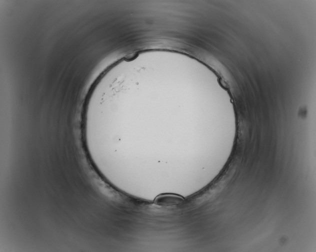 X0000101431138200808041145