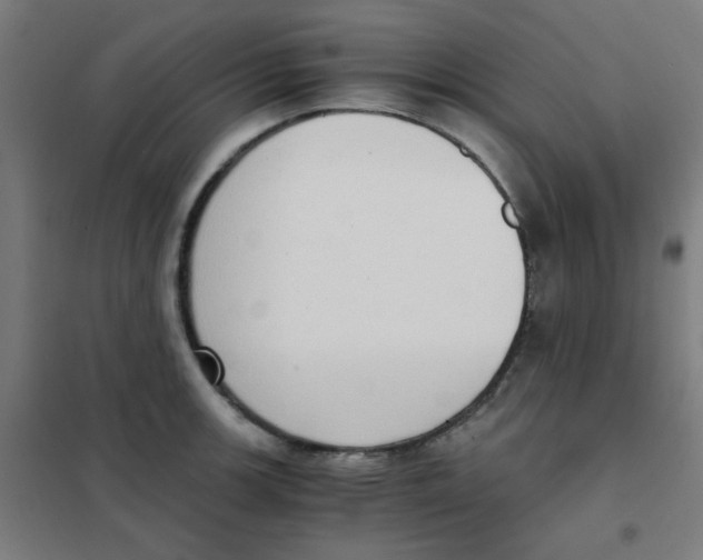 X0000101431139200808041145