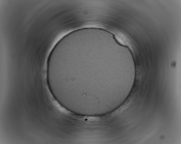 X0000101431140200808041145