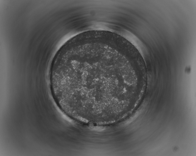 X0000101431141200808041145