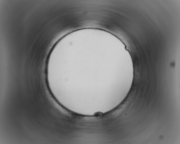 X0000101431142200808041145